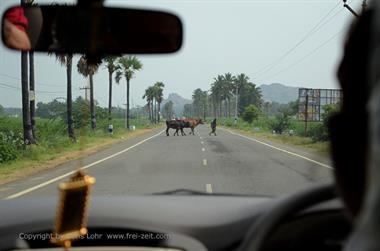 On Route Thekkady to Madurai,_DSC_7768_H600